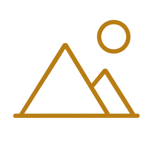 iconsimpli